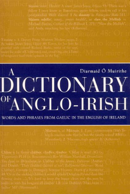 concise english irish dictionary