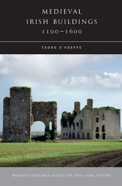 Medieval Irish buildings, 1100–1600