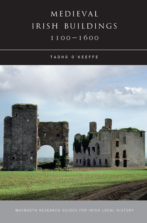 Medieval Irish buildings, 1100–1600