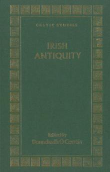 Irish antiquity